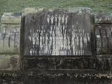 image of grave number 499570